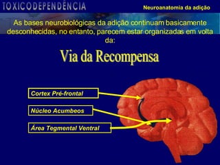 As bases neurobiológicas da adição continuam basicamente desconhecidas, no entanto, parecem estar organizadas em volta da: Área Tegmental Ventral Núcleo Acumbeos Cortex Pré-frontal Via da Recompensa Neuroanatomia da adição TOXICODEPENDÊNCIA 
