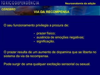 O prazer resulta de um aumento de dopamina que se liberta no sistema da via da recompensa. Pode surgir de uma qualquer excitação sensorial ou sexual.  O seu funcionamento privilegia a procura de: -  prazer físico; -  ausência de emoções negativas; -  significação. VIA DA RECOMPENSA CÉREBRO Neuroanatomia da adição TOXICODEPENDÊNCIA 