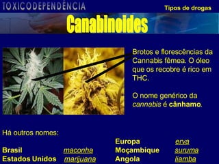 Tipos de drogas Brotos e florescências da Cannabis fêmea. O óleo que os recobre é rico em THC.  O nome genérico da  cannabis  é  cânhamo . Há outros nomes: Brasil   maconha Estados Unidos   marijuana Europa   erva Moçambique   suruma Angola   liamba Canabinoides TOXICODEPENDÊNCIA 