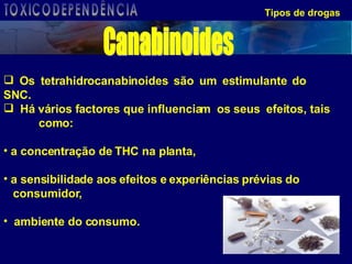 Tipos de drogas Os tetrahidrocanabinoides são um estimulante do  SNC.  Há vários factores que influenciam  os seus  efeitos, tais  como: a concentração de THC na planta,  a sensibilidade aos efeitos e experiências prévias do consumidor,  ambiente do consumo. Canabinoides TOXICODEPENDÊNCIA 