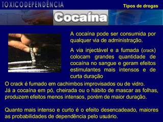 Tipos de drogas O crack é fumado em cachimbos improvisados ou de vidro. Já a cocaína em pó, cheirada ou o hábito de mascar as folhas, produzem efeitos menos intensos, porém de maior duração.  Quanto mais intenso e curto é o efeito desencadeado, maiores as probabilidades de dependência pelo usuário. A cocaína pode ser consumida por qualquer via de administração.  A via injectável e a fumada ( crack ) colocam grandes quantidade de cocaína no sangue e geram efeitos estimulantes mais intensos e de curta duração TOXICODEPENDÊNCIA 