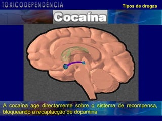 Tipos de drogas A cocaína age directamente sobre o sistema de recompensa, bloqueando a recaptacção de dopamina TOXICODEPENDÊNCIA 