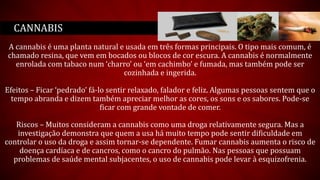 A cannabis é uma planta natural e usada em três formas principais. O tipo mais comum, é
chamado resina, que vem em bocados ou blocos de cor escura. A cannabis é normalmente
enrolada com tabaco num ‘charro’ ou ‘em cachimbo’ e fumada, mas também pode ser
cozinhada e ingerida.
Efeitos – Ficar ‘pedrado’ fá-lo sentir relaxado, falador e feliz. Algumas pessoas sentem que o
tempo abranda e dizem também apreciar melhor as cores, os sons e os sabores. Pode-se
ficar com grande vontade de comer.
Riscos – Muitos consideram a cannabis como uma droga relativamente segura. Mas a
investigação demonstra que quem a usa há muito tempo pode sentir dificuldade em
controlar o uso da droga e assim tornar-se dependente. Fumar cannabis aumenta o risco de
doença cardíaca e de cancros, como o cancro do pulmão. Nas pessoas que possuam
problemas de saúde mental subjacentes, o uso de cannabis pode levar à esquizofrenia.
CANNABIS
 