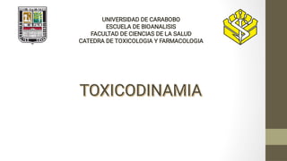 UNIVERSIDAD DE CARABOBO
ESCUELA DE BIOANALISIS
FACULTAD DE CIENCIAS DE LA SALUD
CATEDRA DE TOXICOLOGIA Y FARMACOLOGIA
TOXICODINAMIA
TOXICODINAMIA
TOXICODINAMIA
TOXICODINAMIA
 