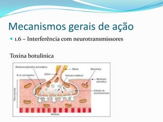 Mecanismos gerais de ação
 1.6 – Interferência com neurotransmissores

Toxina botulínica

 