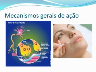 Mecanismos gerais de ação

 