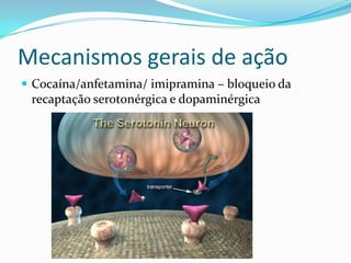 Mecanismos gerais de ação
 Cocaína/anfetamina/ imipramina – bloqueio da

recaptação serotonérgica e dopaminérgica

 