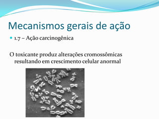 Mecanismos gerais de ação
 1.7 – Ação carcinogênica

O toxicante produz alterações cromossômicas
resultando em crescimento celular anormal

 