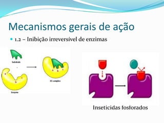 Mecanismos gerais de ação
 1.2 – Inibição irreversível de enzimas

Inseticidas fosforados

 