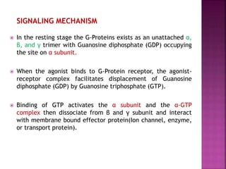 SIGNALING MECHANISM
 In the resting stage the G-Proteins exists as an unattached α,
β, and γ trimer with Guanosine diphosphate (GDP) occupying
the site on α subunit.
 When the agonist binds to G-Protein receptor, the agonist-
receptor complex facilitates displacement of Guanosine
diphosphate (GDP) by Guanosine triphosphate (GTP).
 Binding of GTP activates the α subunit and the α-GTP
complex then dissociate from β and γ subunit and interact
with membrane bound effector protein(Ion channel, enzyme,
or transport protein).
 
