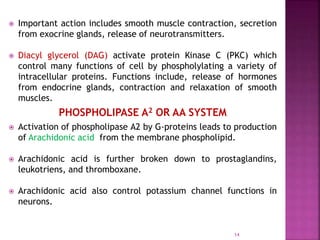  Important action includes smooth muscle contraction, secretion
from exocrine glands, release of neurotransmitters.
 Diacyl glycerol (DAG) activate protein Kinase C (PKC) which
control many functions of cell by phospholylating a variety of
intracellular proteins. Functions include, release of hormones
from endocrine glands, contraction and relaxation of smooth
muscles.
PHOSPHOLIPASE A2 OR AA SYSTEM
 Activation of phospholipase A2 by G-proteins leads to production
of Arachidonic acid from the membrane phospholipid.
 Arachidonic acid is further broken down to prostaglandins,
leukotriens, and thromboxane.
 Arachidonic acid also control potassium channel functions in
neurons.
14
 
