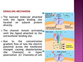 SIGNALING MECHANISM
 The toxicant molecule attached
with the ligand binding site
located on subunit protein
directly.
 The channel remain activated
until the ligand attached to the
extracellular binding site.
 Due to the concentration
gradient flow of ions the electric
potential across the membrane
changed causing depolarization
(Na+ Channels) or hyper
polarization (Cl- Channels) of cell
7
 