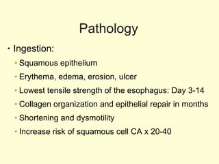 Pathology Ingestion:  Squamous epithelium Erythema, edema, erosion, ulcer Lowest tensile strength of the esophagus: Day 3-14 Collagen organization and epithelial repair in months Shortening and dysmotility Increase risk of squamous cell CA x 20-40  