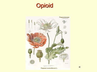 Opioid 