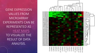 Toxicogenomics: microarray | PPTX