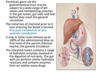Intestinal Toxicity ToxicokineticsToxicodynamics.pptx