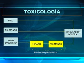TOXICOLOGÍA PIEL PULMONES TUBO DIGESTIVO CIRCULACIÓN GENERAL HÍGADO PULMONES Eliminación presistémica 