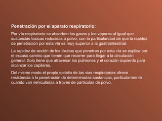Penetración por el aparato respiratorio: Por vía respiratoria se absorben los gases y los vapores al igual que sustancias toxicas reducidas a polvo, con la particularidad de que la rapidez de penetración por esta vía es muy superior a la gastrointestinal. La rapidez de acción de los tóxicos que penetran por esta vía se explica por el escaso camino que tienen que recorrer para llegar a la circulación general. Solo tiene que atravesar los pulmones y el corazón izquierdo para alcanzar los capilares. Del mismo modo el propio epitelio de las vias respiratorias ofrece resistencia a la penetración de determinadas sustancias, particularmente cuando van vehiculadas a través de partículas de polvo. 