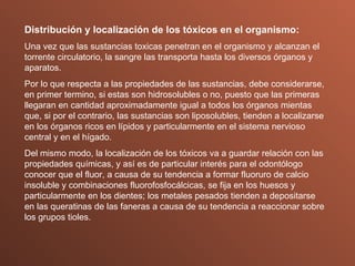 Distribución y localización de los tóxicos en el organismo: Una vez que las sustancias toxicas penetran en el organismo y alcanzan el torrente circulatorio, la sangre las transporta hasta los diversos órganos y aparatos. Por lo que respecta a las propiedades de las sustancias, debe considerarse, en primer termino, si estas son hidrosolubles o no, puesto que las primeras llegaran en cantidad aproximadamente igual a todos los órganos mientas que, si por el contrario, las sustancias son liposolubles, tienden a localizarse en los órganos ricos en lípidos y particularmente en el sistema nervioso central y en el hígado. Del mismo modo, la localización de los tóxicos va a guardar relación con las propiedades químicas, y así es de particular interés para el odontólogo conocer que el fluor, a causa de su tendencia a formar fluoruro de calcio insoluble y combinaciones fluorofosfocálcicas, se fija en los huesos y particularmente en los dientes; los metales pesados tienden a depositarse en las queratinas de las faneras a causa de su tendencia a reaccionar sobre los grupos tioles. 