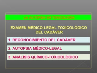 LA AUTOPSIA EN TOXICOLOGÍA
EXAMEN MÉDICO-LEGAL TOXICOLÓGICO
DEL CADÁVER
1. RECONOCIMIENTO DEL CADÁVER
2. AUTOPSIA MÉDICO-LEGAL
3. ANÁLISIS QUÍMICO-TOXICOLÓGICO
 