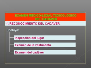 EXAMEN MÉDICO-LEGAL TOXICOLÓGICO
DEL CADÁVER
Incluye:
1. RECONOCIMIENTO DEL CADÁVER
Examen de la vestimenta
Inspección del lugar
Examen del cadáver
 