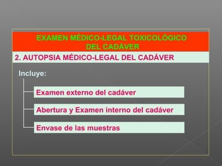 EXAMEN MÉDICO-LEGAL TOXICOLÓGICO
DEL CADÁVER
Incluye:
2. AUTOPSIA MÉDICO-LEGAL DEL CADÁVER
Abertura y Examen interno del cadáver
Examen externo del cadáver
Envase de las muestras
 