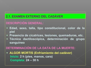 2.1. EXAMEN EXTERNO DEL CADÁVER
DESCRIPCIÓN GENERAL:
Edad, sexo, talla, tipo constitucional, color de la
piel
Presencia de cicatrices, lesiones, quemaduras, etc.
Técnica dactiloscópica, determinación de grupo
sanguíneo
DETERMINACIÓN DE LA DATA DE LA MUERTE:
ALGOR MORTIS (Enfriamiento del cadáver)
Inicio: 2 h (pies, manos, cara)
Completa: 24 – 30 h
 