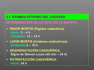 2.1. EXAMEN EXTERNO DEL CADÁVER
DETERMINACIÓN DE LA DATA DE LA MUERTE:
RIGOR MORTIS (Rigidez cadavérica)
Inicio: 3 – 4 h
Completa: 13 – 14 h
LIVOR MORTIS (livideces cadavéricas)
Evidentes:2 – 16 h
DESHIDRATACIÓN CADAVÉRICA
Signo de Stenon Louis (45 min – 24 h)
PUTREFACCIÓN CADAVÉRICA
Inicio: 24 h
 