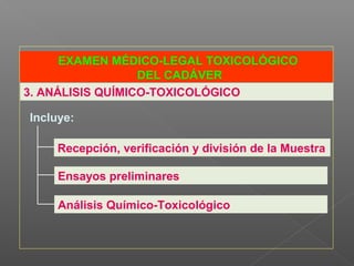 EXAMEN MÉDICO-LEGAL TOXICOLÓGICO
DEL CADÁVER
Incluye:
3. ANÁLISIS QUÍMICO-TOXICOLÓGICO
Ensayos preliminares
Recepción, verificación y división de la Muestra
Análisis Químico-Toxicológico
 