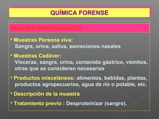 ANÁLISIS TOXICOLÓGICOS
 Muestras Persona viva:
Sangre, orina, saliva, secreciones nasales
 Muestras Cadáver:
Vísceras, sangre, orina, contenido gástrico, vómitos,
otras que se consideren necesarias
 Productos misceláneos: alimentos, bebidas, plantas,
productos agropecuarios, agua de río o potable, etc.
 Descripción de la muestra
 Tratamiento previo : Desproteinizar (sangre).
QUÍMICA FORENSEQUÍMICA FORENSE
 