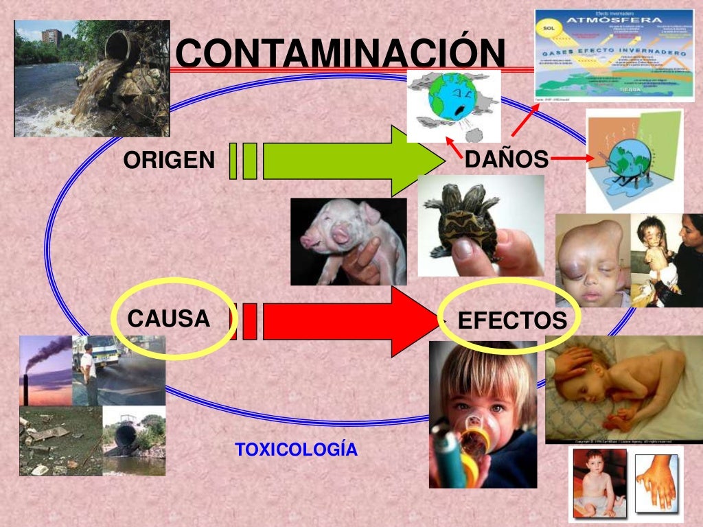 Toxicología ambiental