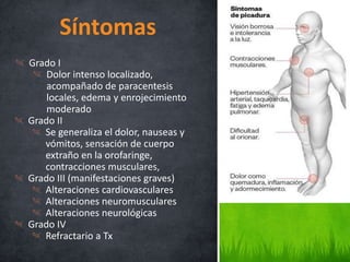 Grado I
Dolor intenso localizado,
acompañado de paracentesis
locales, edema y enrojecimiento
moderado
Grado II
Se generaliza el dolor, nauseas y
vómitos, sensación de cuerpo
extraño en la orofaringe,
contracciones musculares,
Grado III (manifestaciones graves)
Alteraciones cardiovasculares
Alteraciones neuromusculares
Alteraciones neurológicas
Grado IV
Refractario a Tx
Síntomas
 