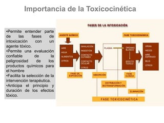 Importancia de la Toxicocinética
•Permite entender parte
de las fases de
intoxicación con un
agente tóxico.
•Permite una evaluación
confiable de la
peligrosidad de los
productos químicos para
el hombre
•Facilita la selección de la
intervención terapéutica.
•Anticipa el principio y
duración de los efectos
tóxico.
 