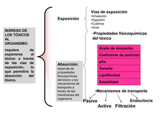 Activo Filtración
Endocitocis
INGRESO DE
LOS TÓXICOS
AL
ORGANISMO:
requiere de
exponerse al
tóxico a través
de las vías de
exposición, lo
que permitirá la
absorción del
tóxico.
Vías de exposición
•Inhalación
•Ingestión
•Cutánea
•otras
•Propiedades fisicoquímicas
del tóxico
Grado de ionización
Coeficiente de partición
pKa
Tamaño
Lipofilicidad
Solubilidad
•Mecanismos de transporte
Pasivo
Absorción:
depende de
propiedades
fisicoquímicas
del tóxico y los
mecanismos de
transporte a
través de las
membranas del
organismo
Exposición
 