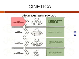 CINETICA
 