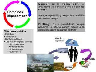 Cómo nos
exponemos?
Viás de exposición
•Ingestión
• Inhalatoria
•Contacto cutáneo,
• Las vías de ingreso clínicas
• la intravenosa
• intraperitoneal
• intramuscular
•subcutánea
Exposión es la manera cómo el
organismo se pone en contacto con los
tóxicos.
A mayor exposición y tiempo de exposición
aumenta el riesgo.
El Riesgo: Es la probabilidad de que
aparezca un efecto nocivo debido a la
exposición a una sustancia química
 