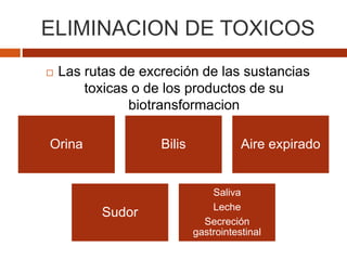 ELIMINACION DE TOXICOS
 Las rutas de excreción de las sustancias
toxicas o de los productos de su
biotransformacion
Orina Bilis Aire expirado
Sudor
Saliva
Leche
Secreción
gastrointestinal
 