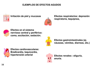38
Irritación de piel y mucosas
Efectos en el sistema
nervioso central y periférico:
coma, excitación, sedación.
Efectos cardiovasculares:
Bradicardia, taquicardia,
hipertensión arterial
Efectos respiratorios: depresión
respiratoria, taquipnea,
Efectos gastrointestinales (ej.
náuseas, vómitos, diarreas, etc.)
Efectos renales:: oliguria,
anuria.
EJEMPLOS DE EFECTOS AGUDOS
 
