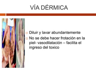 VÍA DÉRMICA
 Diluir y lavar abundantemente
 No se debe hacer frotación en la
piel- vasodilatación – facilita el
ingreso del toxico
 