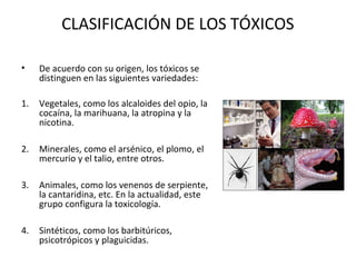 CLASIFICACIÓN DE LOS TÓXICOS

•    De acuerdo con su origen, los tóxicos se
     distinguen en las siguientes variedades:

1.   Vegetales, como los alcaloides del opio, la
     cocaína, la marihuana, la atropina y la
     nicotina.

2.   Minerales, como el arsénico, el plomo, el
     mercurio y el talio, entre otros.

3.   Animales, como los venenos de serpiente,
     la cantaridina, etc. En la actualidad, este
     grupo configura la toxicología.

4.   Sintéticos, como los barbitúricos,
     psicotrópicos y plaguicidas.
 