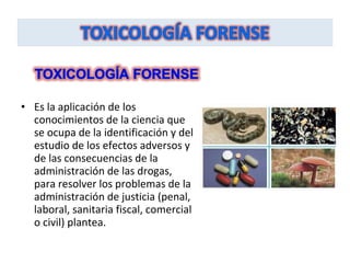 • Es la aplicación de los
  conocimientos de la ciencia que
  se ocupa de la identificación y del
  estudio de los efectos adversos y
  de las consecuencias de la
  administración de las drogas,
  para resolver los problemas de la
  administración de justicia (penal,
  laboral, sanitaria fiscal, comercial
  o civil) plantea.
 