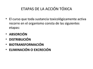 ETAPAS DE LA ACCIÓN TÓXICA

• El curso que toda sustancia toxicológicamente activa
  recorre en el organismo consta de las siguientes
  etapas:
•   ABSORCIÓN
•   DISTRIBUCIÓN
•   BIOTRANSFORMACIÓN
•   ELIMINACIÓN O EXCRECIÓN
 