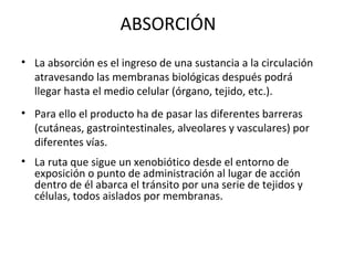 ABSORCIÓN
• La absorción es el ingreso de una sustancia a la circulación
  atravesando las membranas biológicas después podrá
  llegar hasta el medio celular (órgano, tejido, etc.).
• Para ello el producto ha de pasar las diferentes barreras
  (cutáneas, gastrointestinales, alveolares y vasculares) por
  diferentes vías.
• La ruta que sigue un xenobiótico desde el entorno de
  exposición o punto de administración al lugar de acción
  dentro de él abarca el tránsito por una serie de tejidos y
  células, todos aislados por membranas.
 