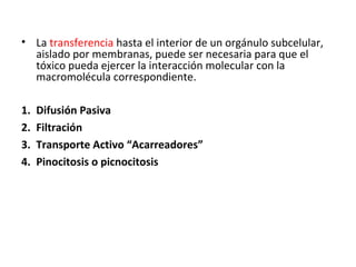 • La transferencia hasta el interior de un orgánulo subcelular,
  aislado por membranas, puede ser necesaria para que el
  tóxico pueda ejercer la interacción molecular con la
  macromolécula correspondiente.

1.   Difusión Pasiva
2.   Filtración
3.   Transporte Activo “Acarreadores”
4.   Pinocitosis o picnocitosis
 