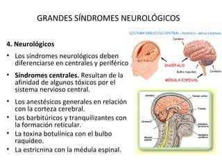 GRANDES SÍNDROMES NEUROLÓGICOS

4. Neurológicos
• Los síndromes neurológicos deben
  diferenciarse en centrales y periféricos.
• Síndromes centrales. Resultan de la
  afinidad de algunos tóxicos por el
  sistema nervioso central.
• Los anestésicos generales en relación
  con la corteza cerebral.
• Los barbitúricos y tranquilizantes con
  la formación reticular.
• La toxina botulínica con el bulbo
  raquídeo.
• La estricnina con la médula espinal.
 