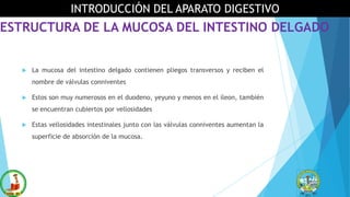 ESTRUCTURA DE LA MUCOSA DEL INTESTINO DELGADO
 La mucosa del intestino delgado contienen pliegos transversos y reciben el
nombre de válvulas conniventes
 Estos son muy numerosos en el duodeno, yeyuno y menos en el íleon, también
se encuentran cubiertos por vellosidades
 Estas vellosidades intestinales junto con las válvulas conniventes aumentan la
superficie de absorción de la mucosa.
INTRODUCCIÓN DEL APARATO DIGESTIVO
 