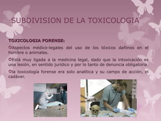 SUBDIVISION DE LA TOXICOLOGIA
TOXICOLOGIA FORENSE:TOXICOLOGIA FORENSE:
Aspectos médico-legales del uso de los tóxicos dañinos en el
hombre o animales.
Está muy ligada a la medicina legal, dado que la intoxicación es
una lesión, en sentido jurídico y por lo tanto de denuncia obligatoria.
la toxicología forense era solo analítica y su campo de acción, el
cadáver.
 