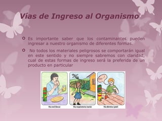Vías de Ingreso al Organismo
 Es importante saber que los contaminantes pueden
ingresar a nuestro organismo de diferentes formas.
 No todos los materiales peligrosos se comportarán igual
en este sentido y no siempre sabremos con claridad,
cual de estas formas de ingreso será la preferida de un
producto en particular
 