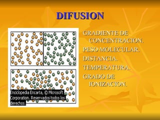 DIFUSION GRADIENTE DE CONCENTRACION. PESO MOLECULAR. DISTANCIA. TEMPERATURA. GRADO DE IONIZACION. 