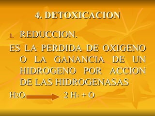 4. DETOXICACION REDUCCION. ES LA PERDIDA DE OXIGENO O LA GANANCIA DE UN HIDROGENO POR ACCION DE LAS HIDROGENASAS H 2 O  2 H +  + O 